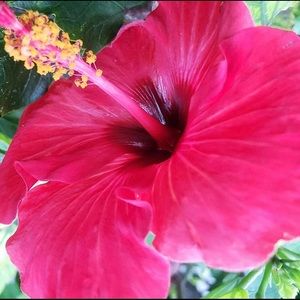 Meet your Posher, Jeane